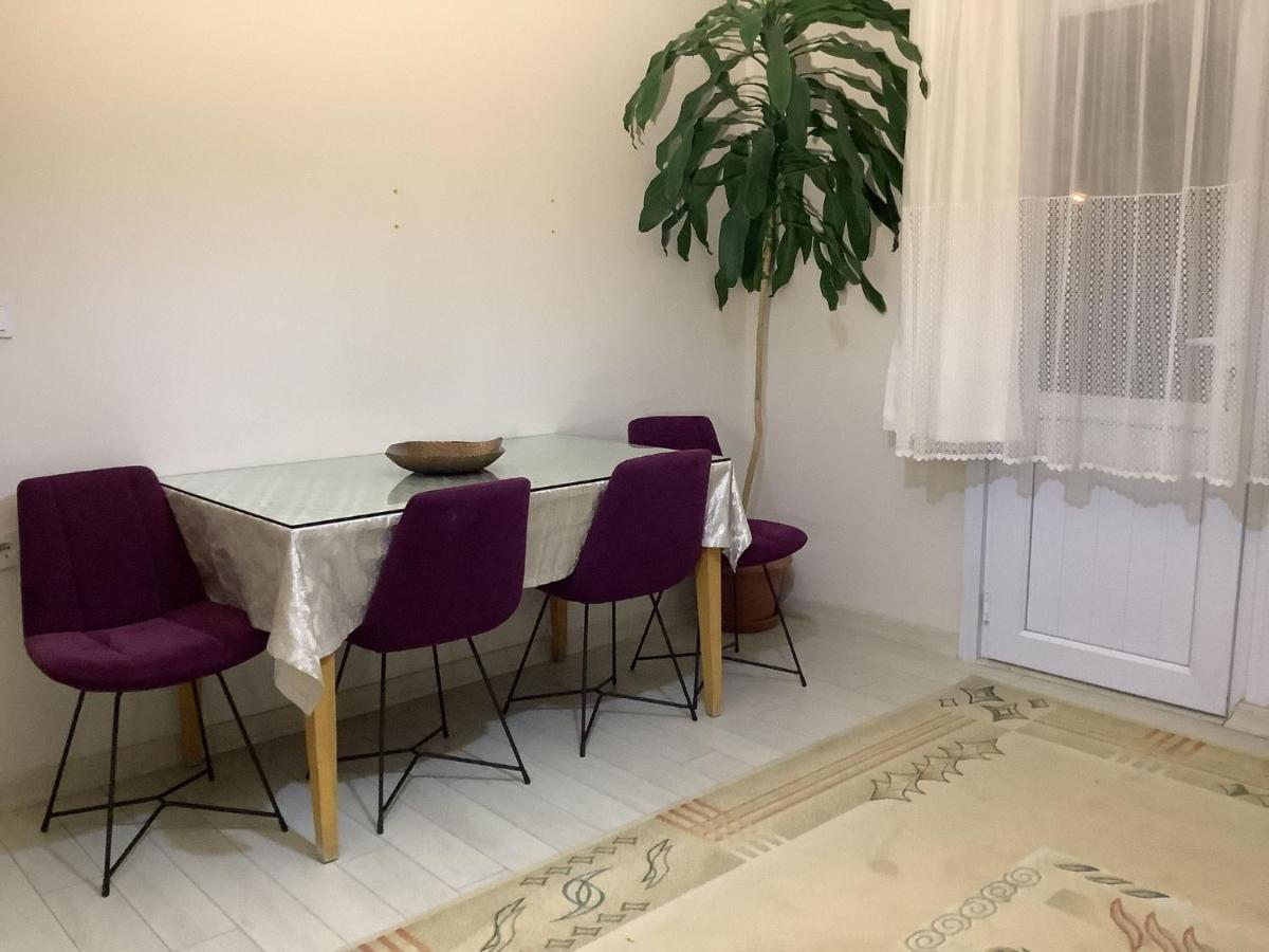 Apartment Garden House